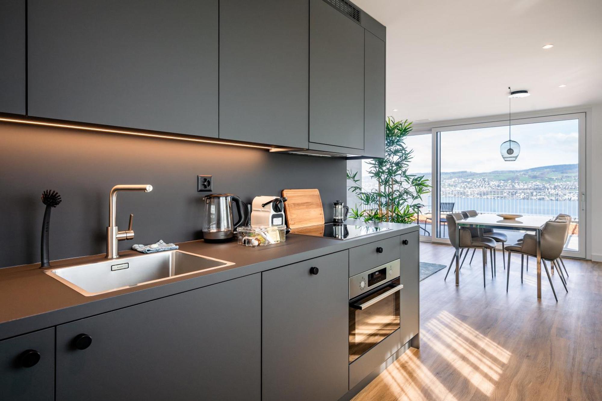 Aestate Living Lakeview In Horgen Zuerich Zug Pfaeffikon Kültér fotó